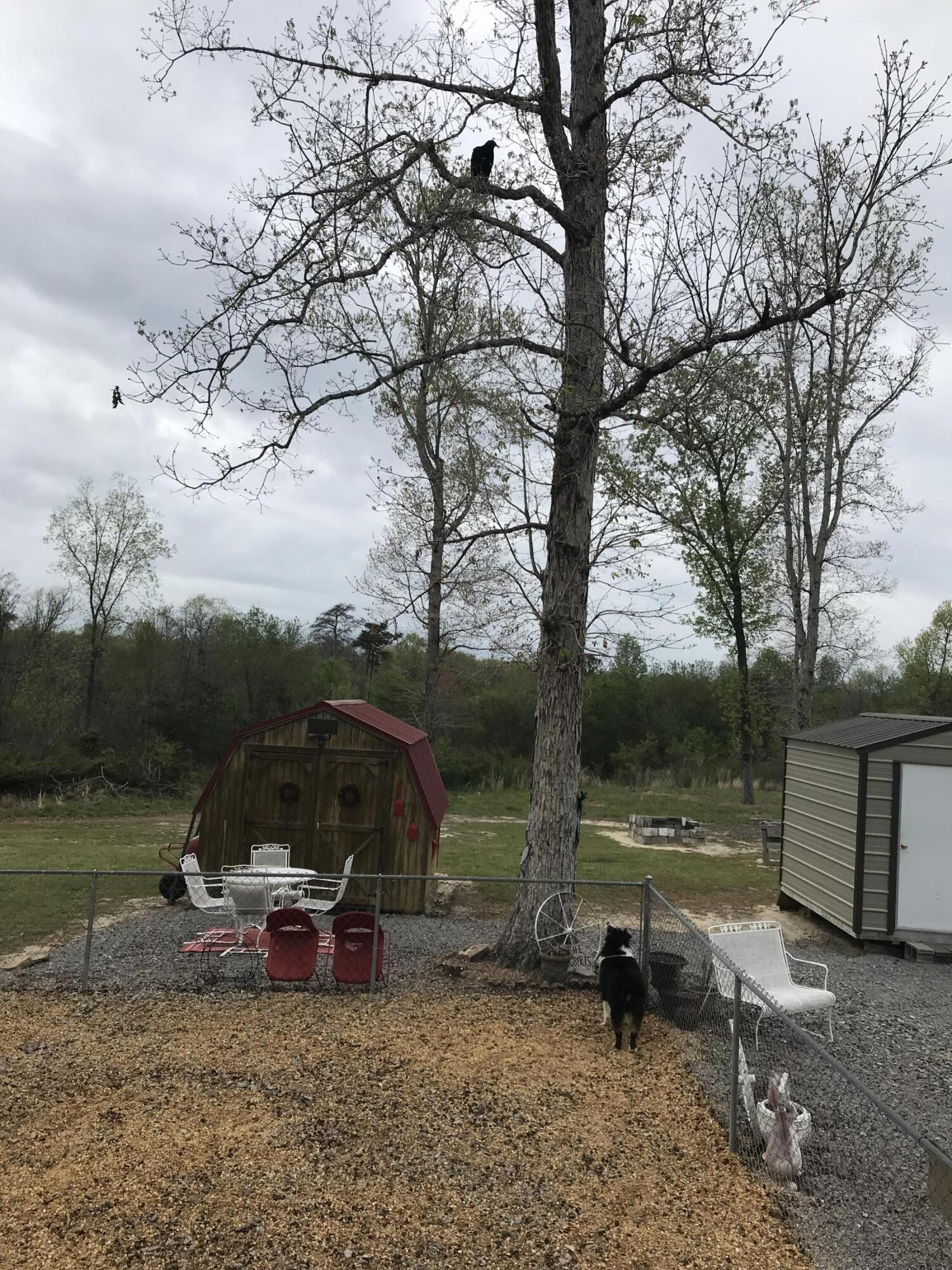 3320 County Road 776, Ider, Alabama image 24