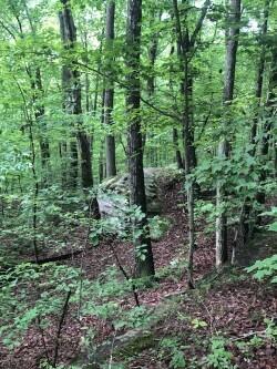 Anderson Avenue, Signal Mountain, Tennessee image 1