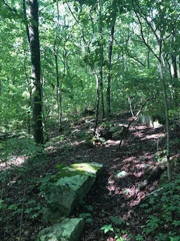 Anderson Avenue, Signal Mountain, Tennessee image 5