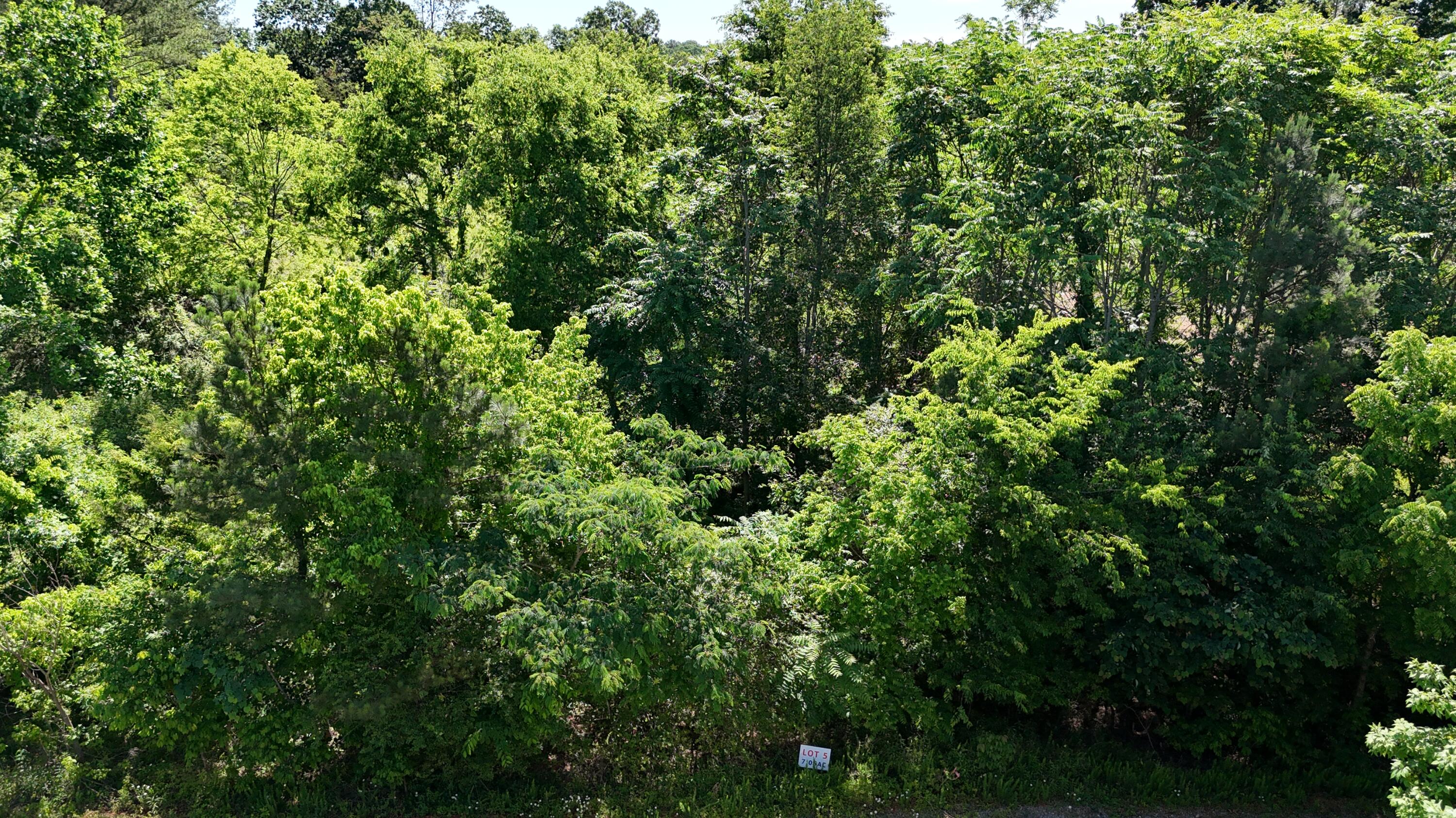 Lot 5 Lamontville Road, Decatur, Tennessee image 3