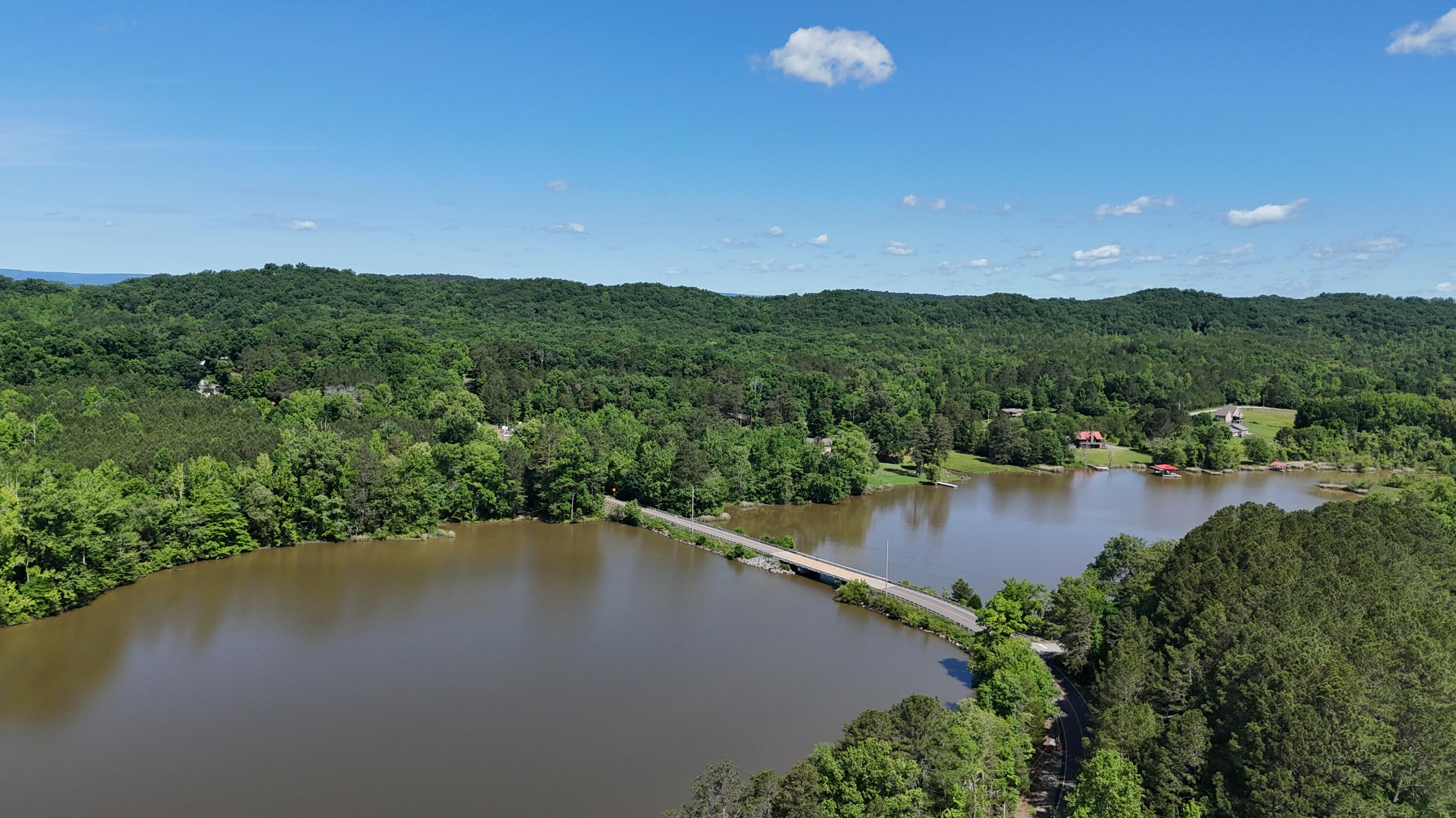 Lot 5 Lamontville Road, Decatur, Tennessee image 4
