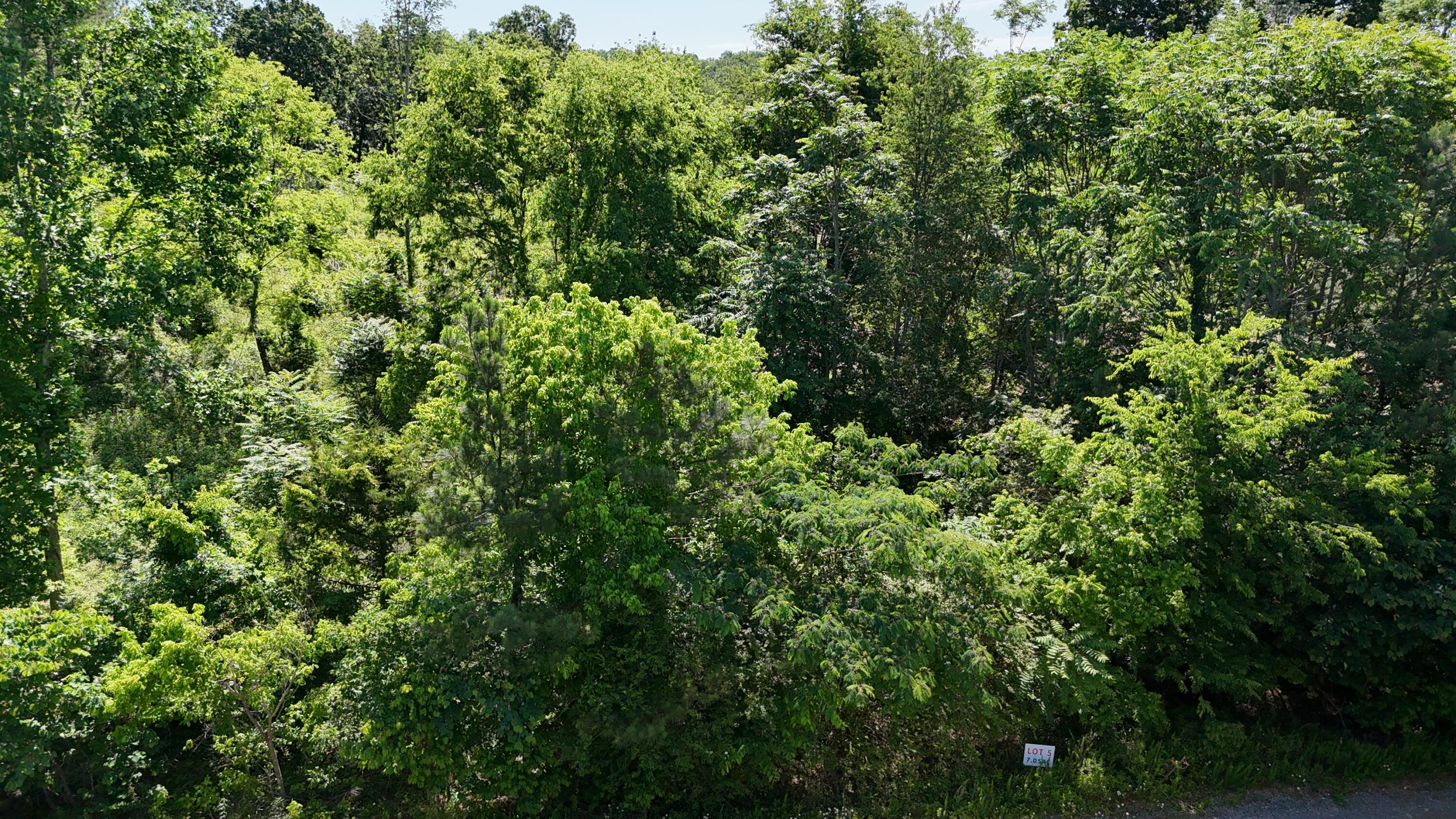 Lot 5 Lamontville Road, Decatur, Tennessee image 2