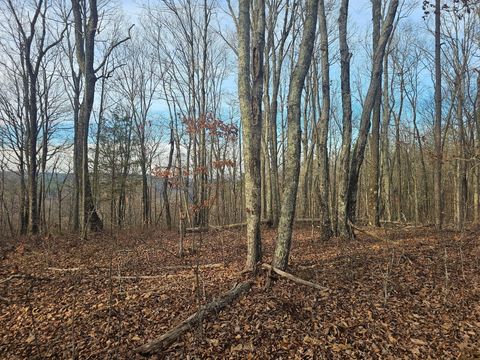 Photo of 029003.00 Smith Mountain, Dunlap, TN 37327 (MLS # 1525605)
