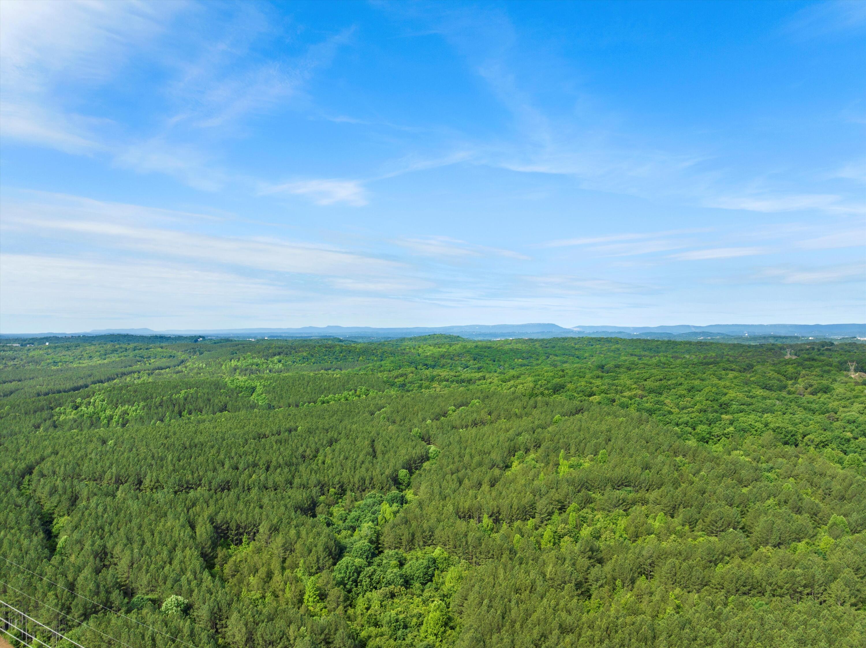 5306 Kellys Point, Ooltewah, Tennessee image 45