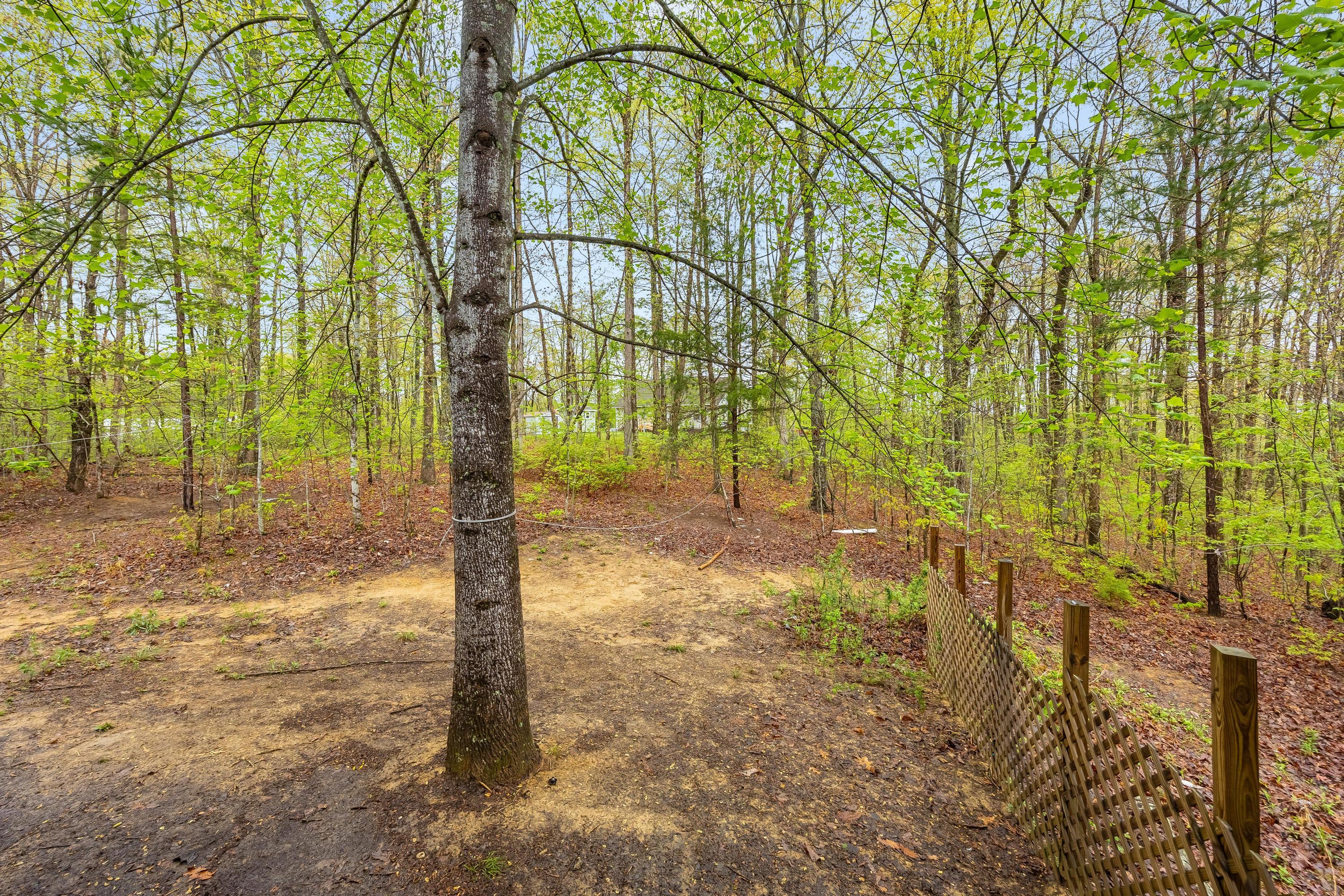319 Windy Hollow Lane, Soddy Daisy, Tennessee image 28