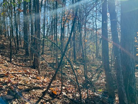 Tiny photo for 3312 E 51st Street, Rossville, GA 30741 (MLS # 1527027)