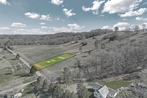 Photo of Lot 9 N Nopone Valley Road, Decatur, TN 37322 (MLS # 1530386)