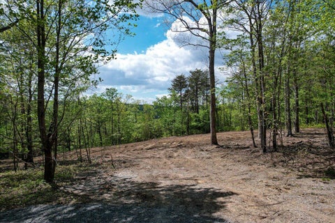 Featured picture for the property 1354229