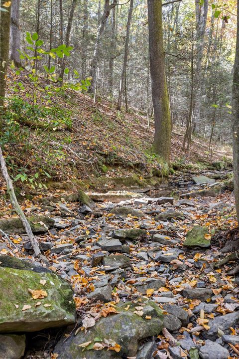 Tiny photo for 2424 Corral Road, Signal Mountain, TN 37377 (MLS # 1517072)