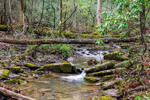 Tiny photo for 2424 Corral Road, Signal Mountain, TN 37377 (MLS # 1517072)