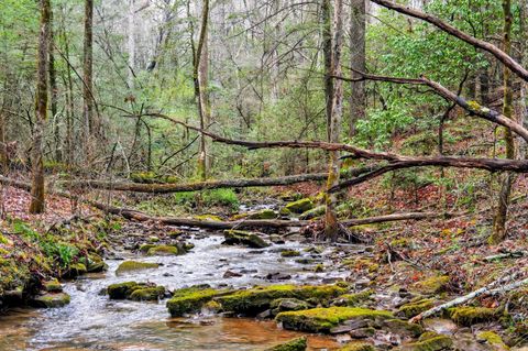 Tiny photo for 2424 Corral Road, Signal Mountain, TN 37377 (MLS # 1517072)