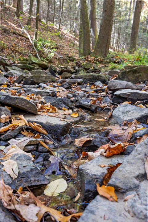 Tiny photo for 2424 Corral Road, Signal Mountain, TN 37377 (MLS # 1517072)