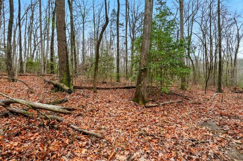 Tiny photo for 2424 Corral Road, Signal Mountain, TN 37377 (MLS # 1517072)