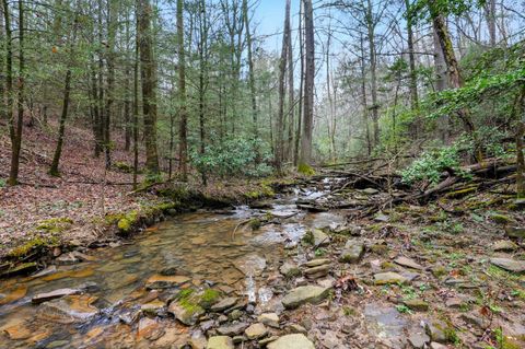Photo of 2424 Corral Road, Signal Mountain, TN 37377 (MLS # 1517072)