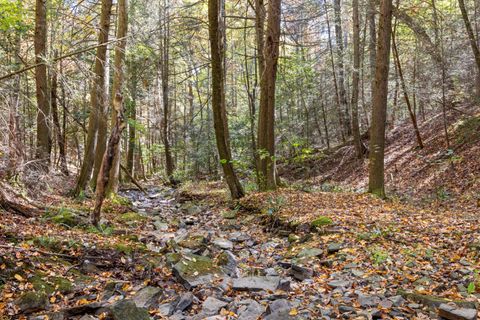 Tiny photo for 2424 Corral Road, Signal Mountain, TN 37377 (MLS # 1517072)
