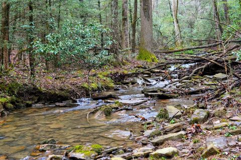 Tiny photo for 2424 Corral Road, Signal Mountain, TN 37377 (MLS # 1517072)