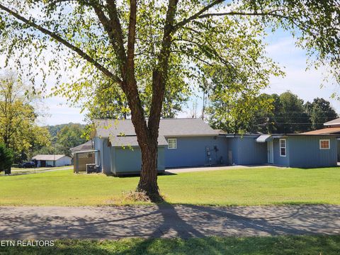 Tiny photo for 224 County Road 146, Riceville, TN 37370 (MLS # 1527105)