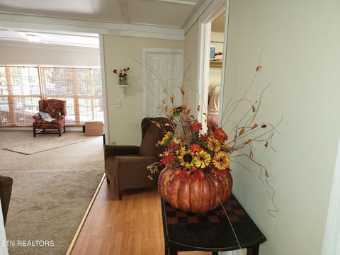 Tiny photo for 224 County Road 146, Riceville, TN 37370 (MLS # 1527105)