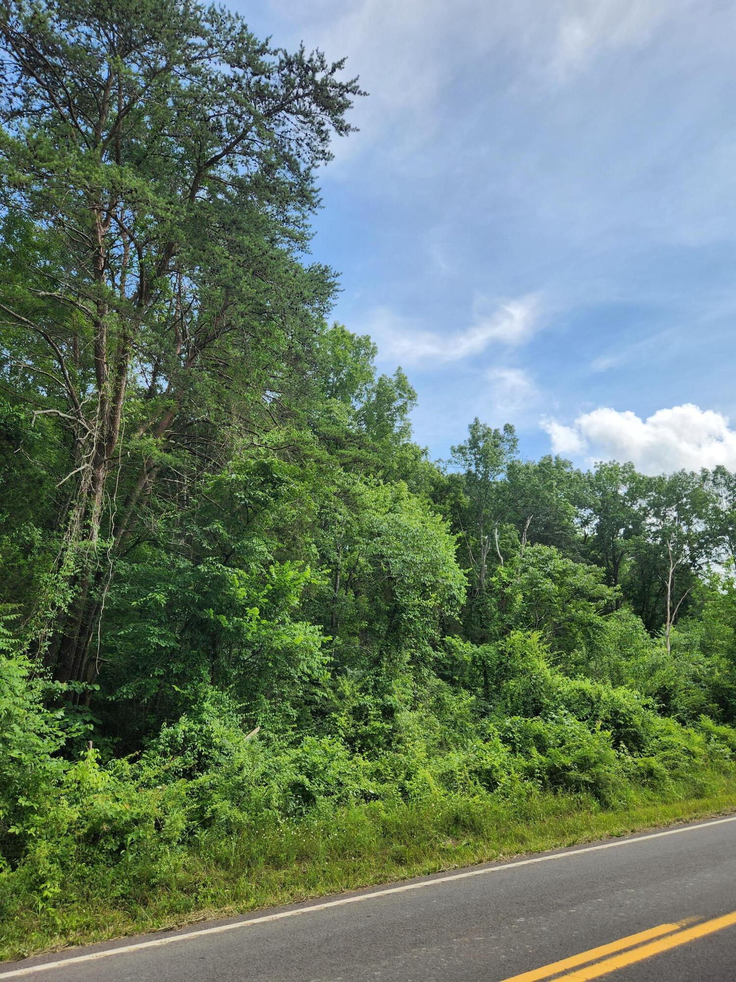 0 River Road 81 8