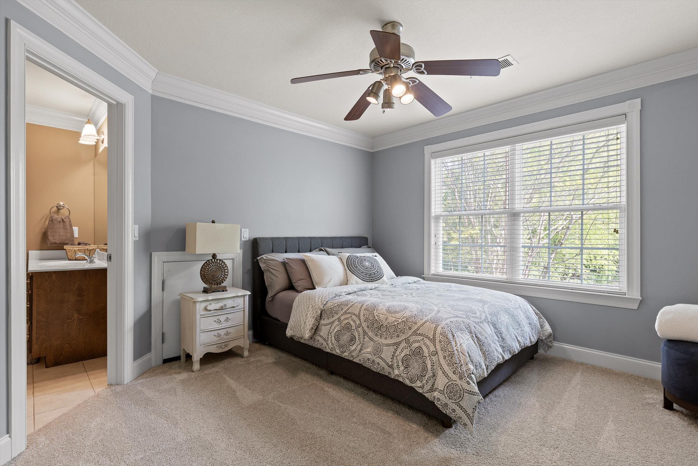 9001 Wandering Way, Ooltewah, Tennessee image 46