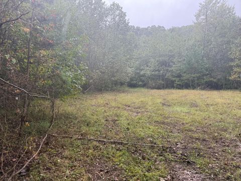 Vacant Land For Sale - TRACT 14 Saw Mill Road<br/> Palmer, TN 37365