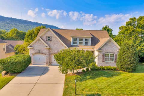 Photo of 713 Shearer Cove Road, Chattanooga, TN 37405 (MLS # 1539421)