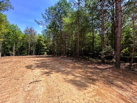 Photo of Lot 2 Highway 304, Ten Mile, TN 37880 (MLS # 1521711)