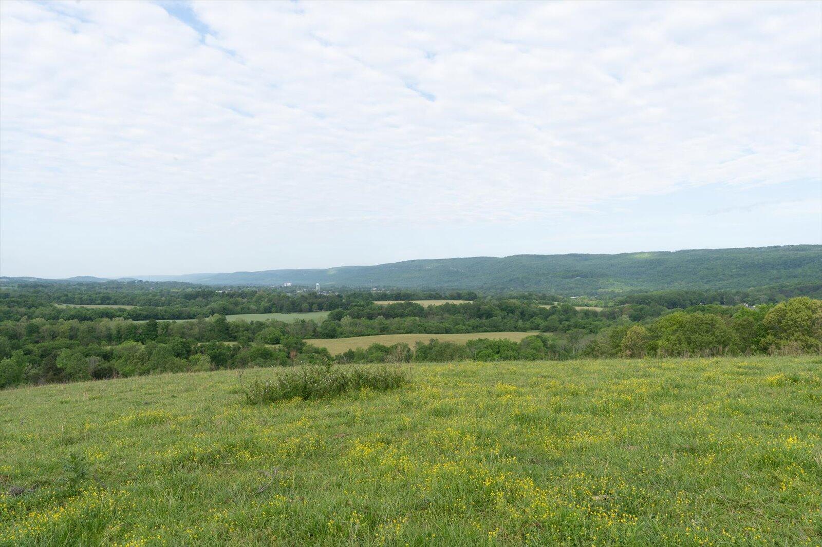 34 Mule Lane, Pikeville, Tennessee image 24