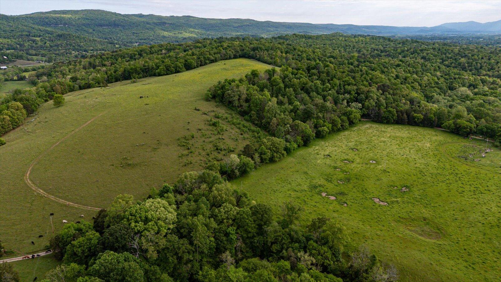 34 Mule Lane, Pikeville, Tennessee image 18