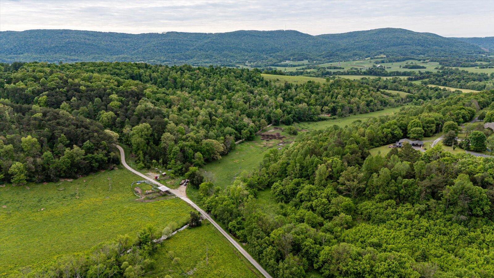 34 Mule Lane, Pikeville, Tennessee image 41