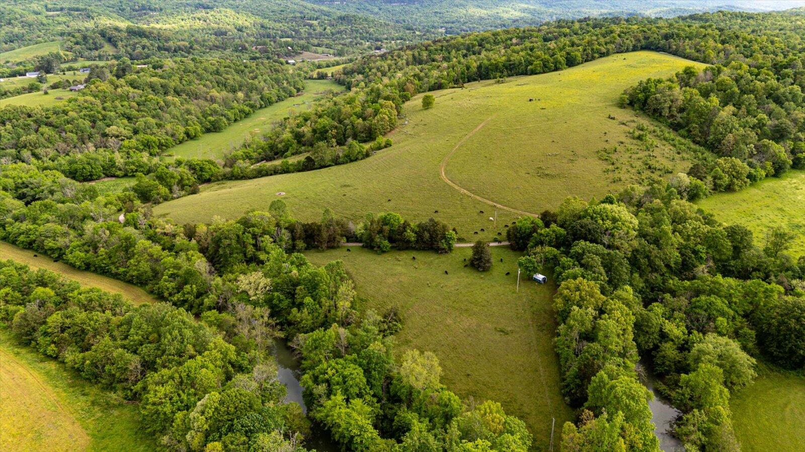 34 Mule Lane, Pikeville, Tennessee image 17