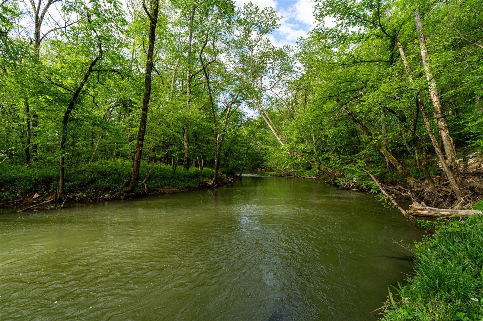 34 Mule Lane, Pikeville, Tennessee image 29