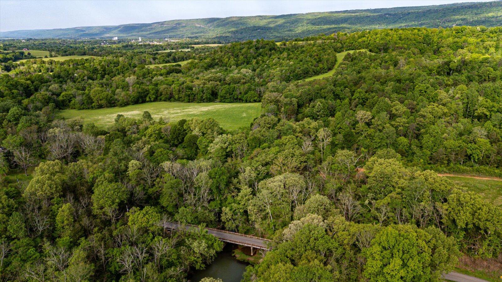 34 Mule Lane, Pikeville, Tennessee image 28