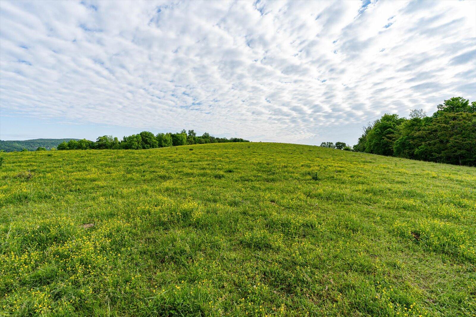 34 Mule Lane, Pikeville, Tennessee image 9