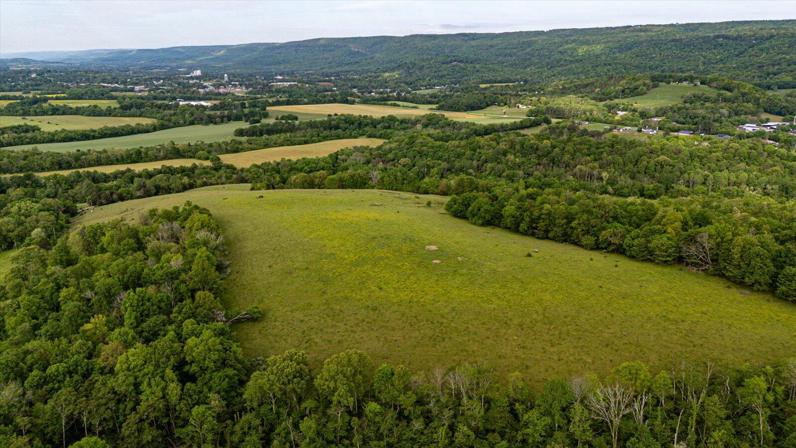 34 Mule Lane, Pikeville, Tennessee image 20