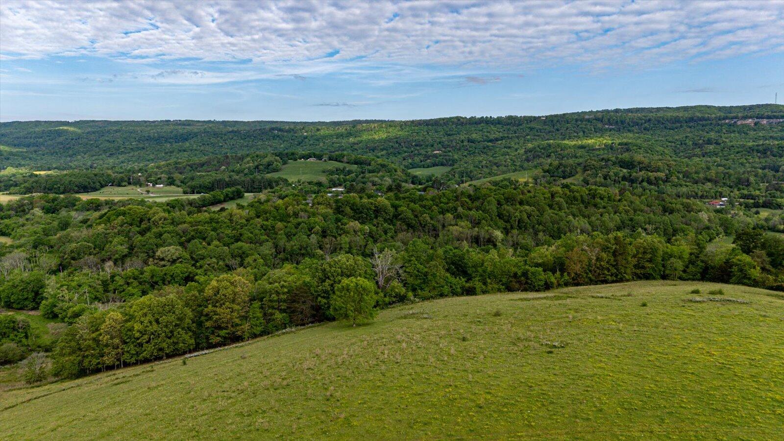 34 Mule Lane, Pikeville, Tennessee image 11