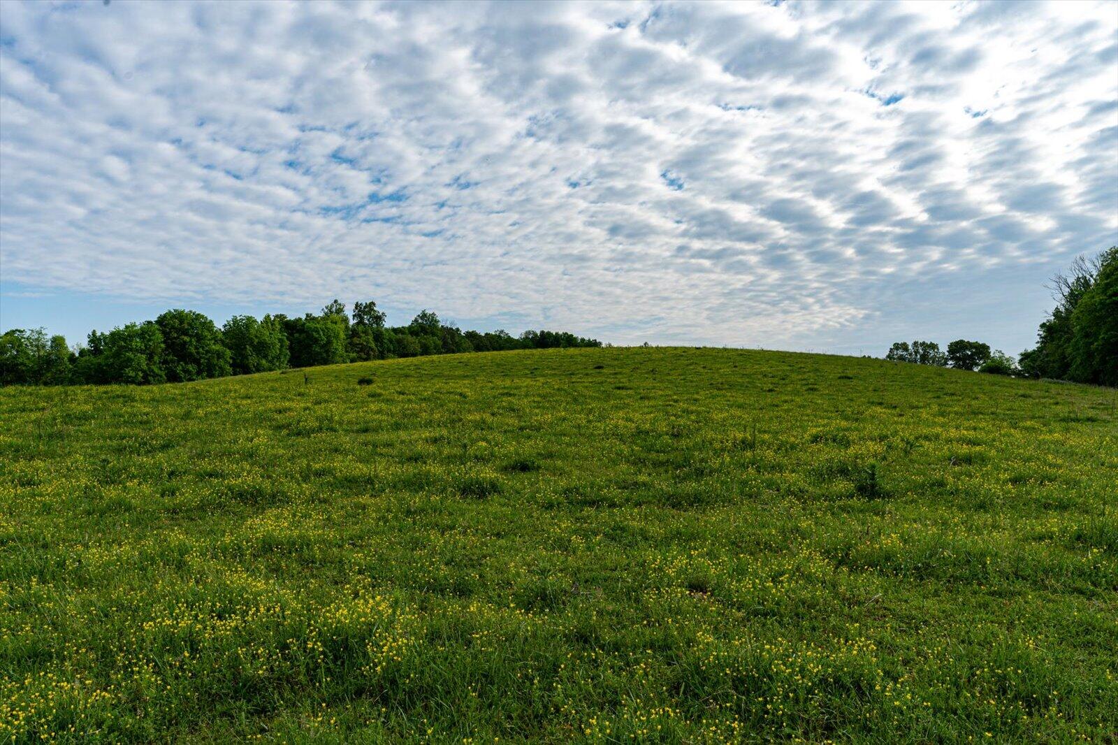 34 Mule Lane, Pikeville, Tennessee image 10
