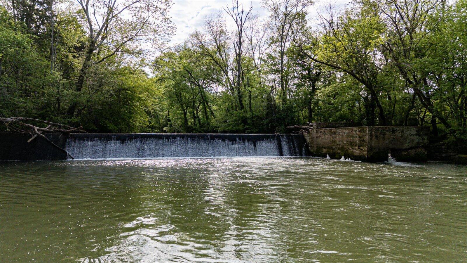 34 Mule Lane, Pikeville, Tennessee image 35