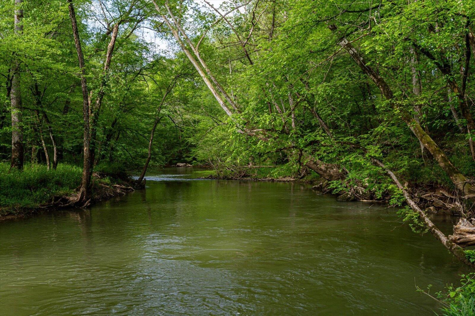 34 Mule Lane, Pikeville, Tennessee image 30