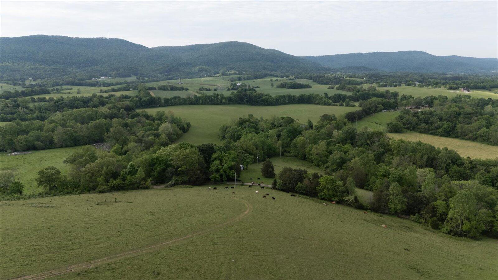 34 Mule Lane, Pikeville, Tennessee image 12