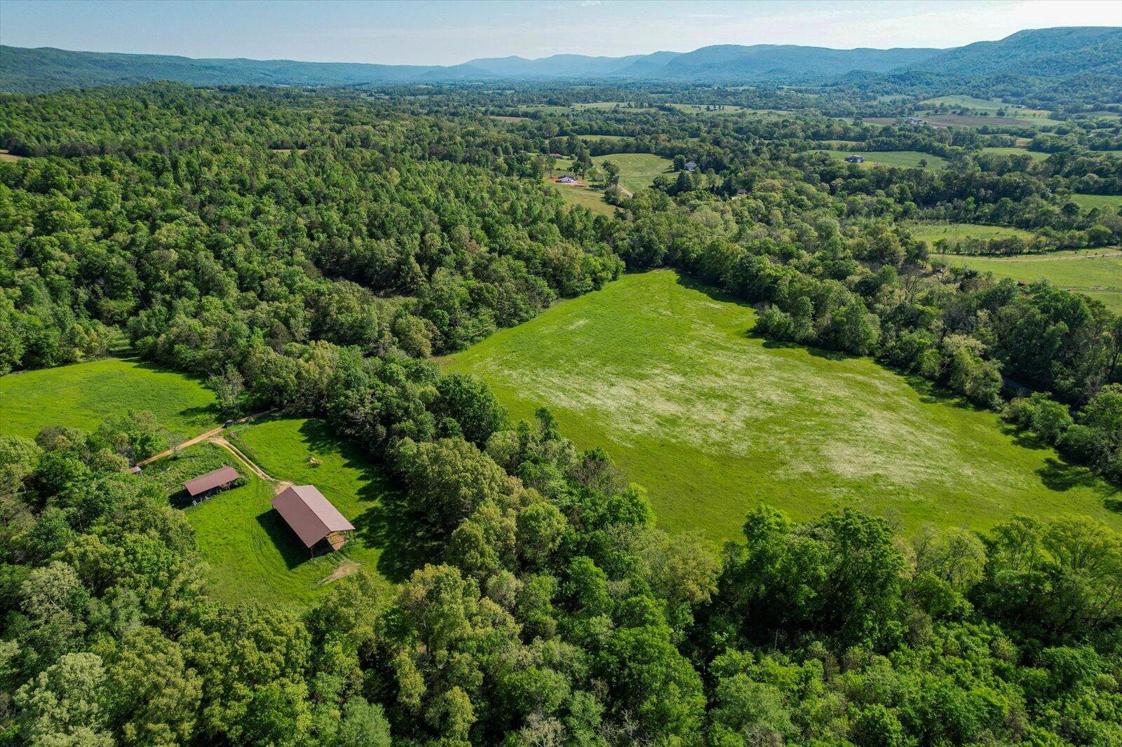 34 Mule Lane, Pikeville, Tennessee image 3