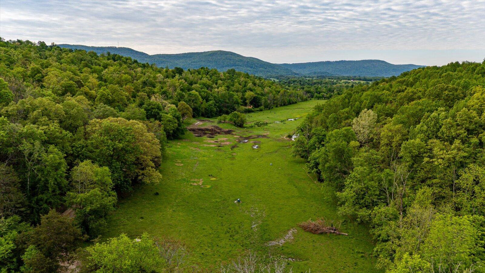 34 Mule Lane, Pikeville, Tennessee image 47