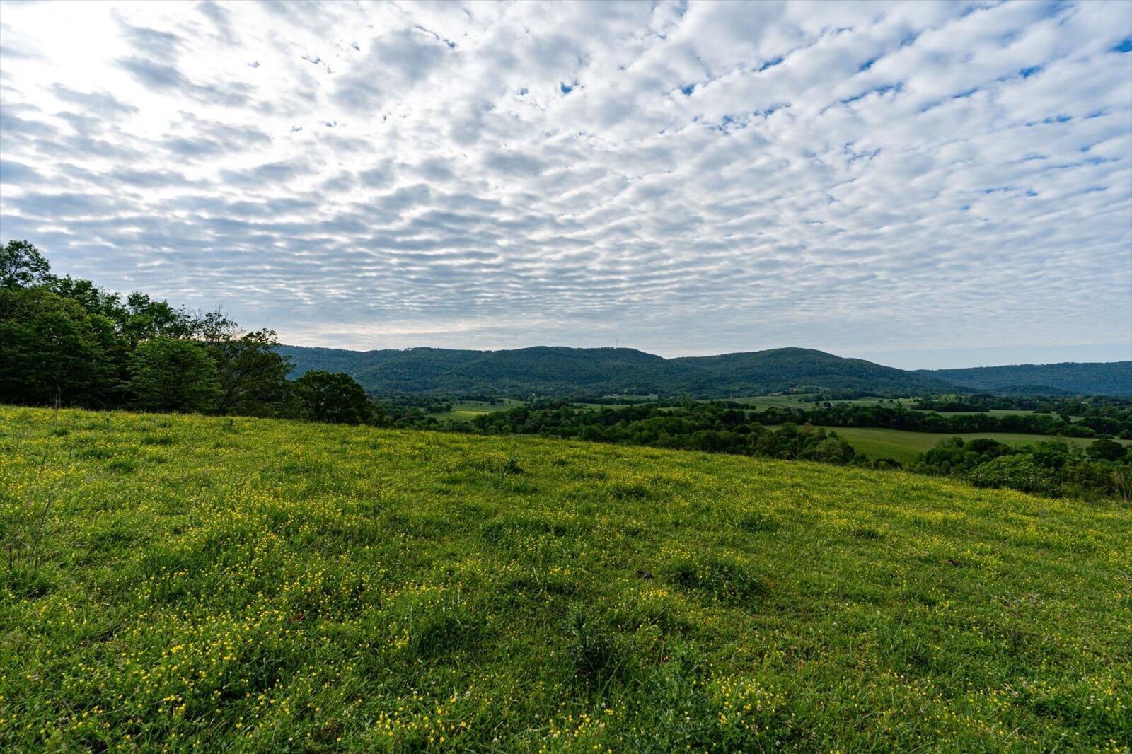 34 Mule Lane, Pikeville, Tennessee image 8