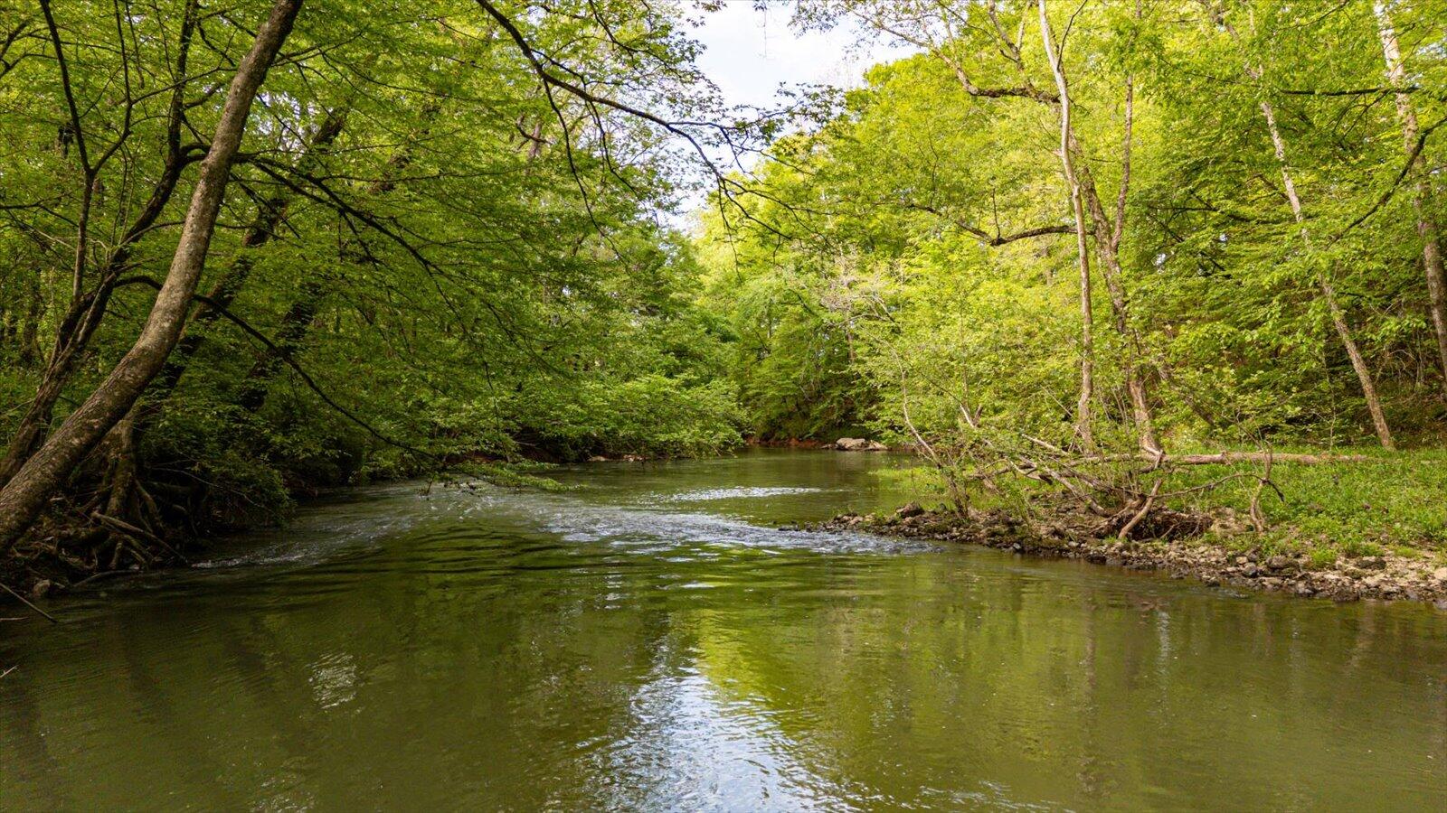 34 Mule Lane, Pikeville, Tennessee image 36