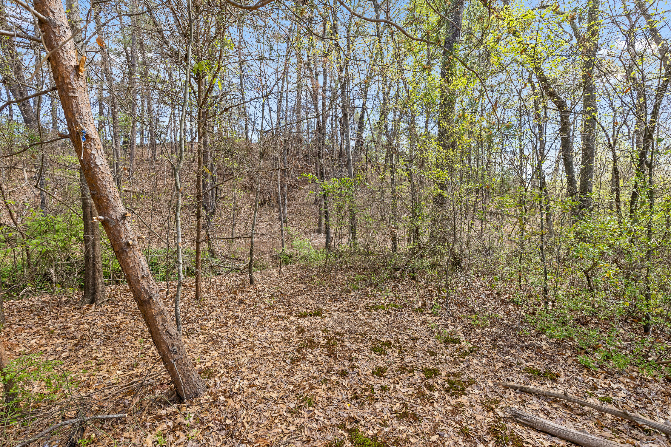 5925 Winding Lane, Hixson, Tennessee image 6
