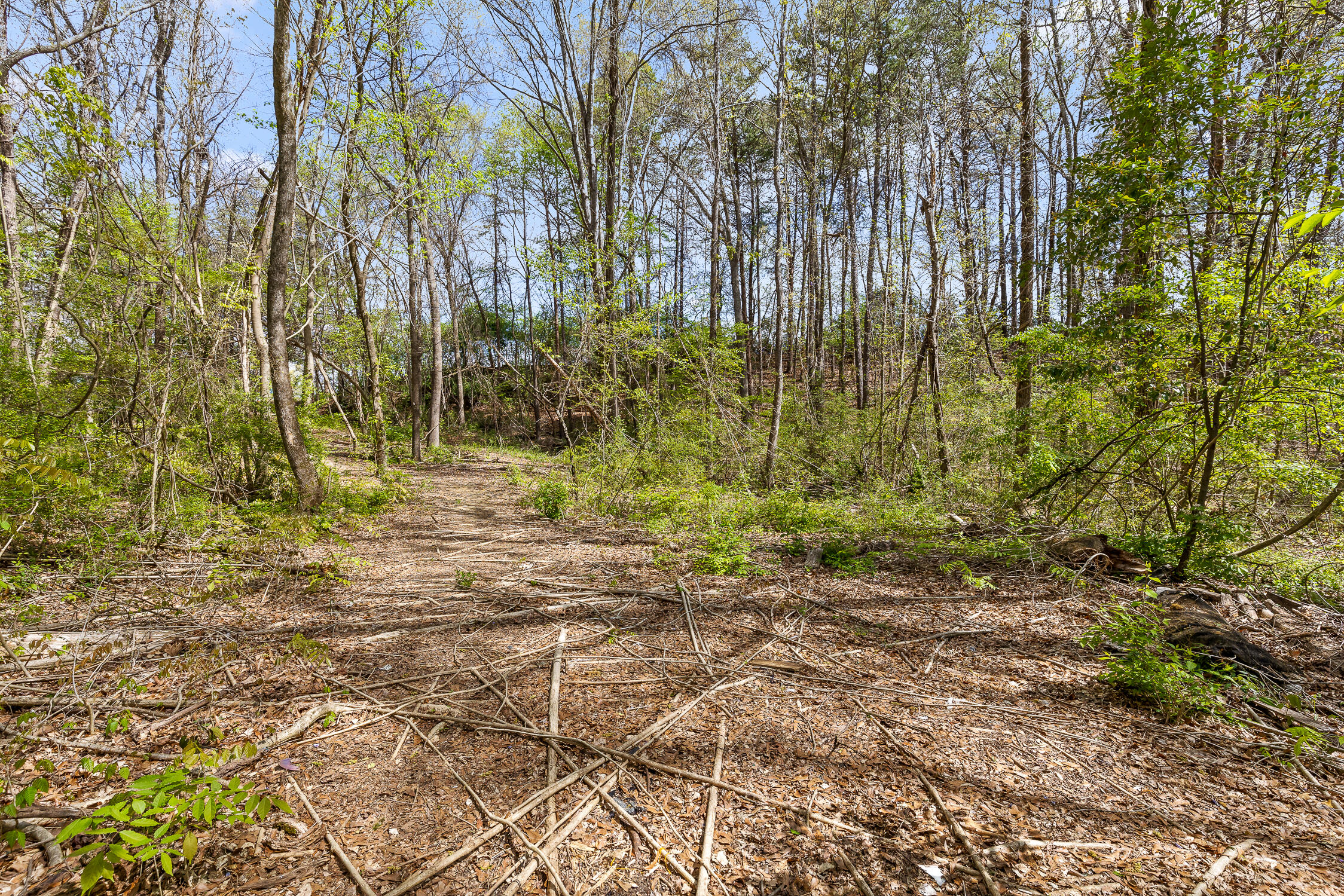 5925 Winding Lane, Hixson, Tennessee image 10