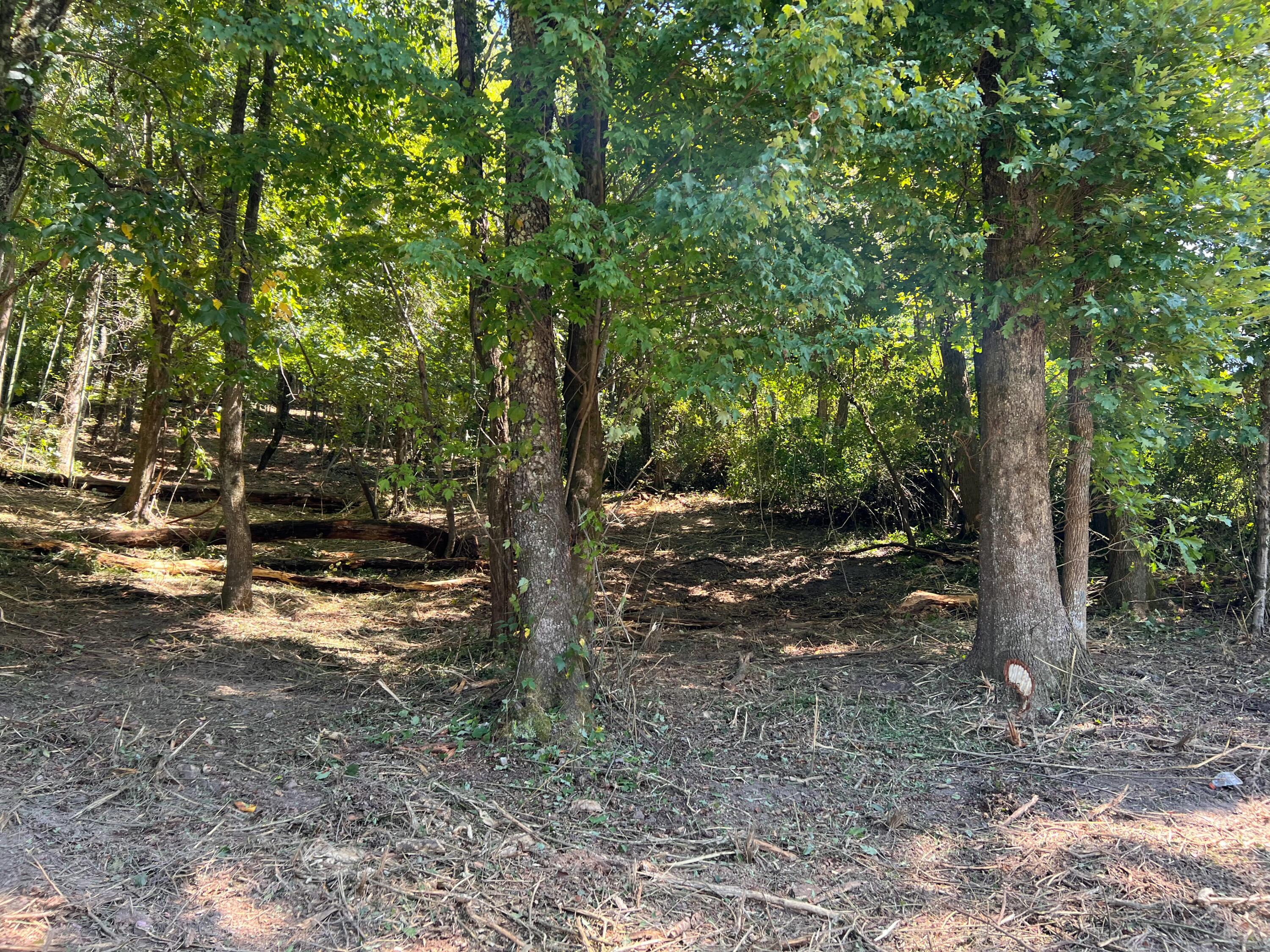 4410 Mccahill Road, Chattanooga, Tennessee image 1