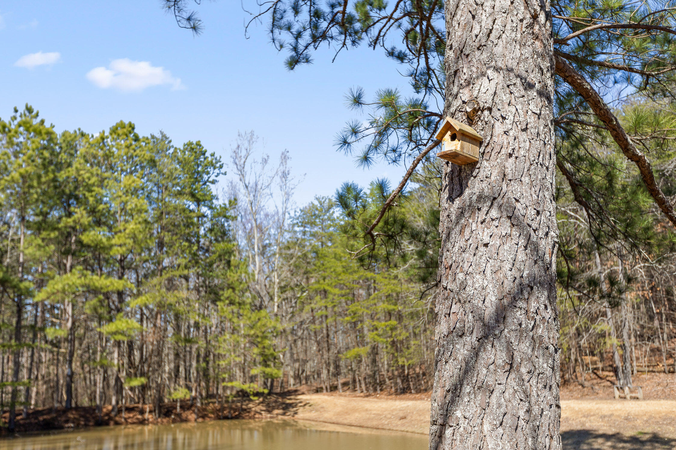 Chickamauga, Georgia 30707, United States, 1 Bedroom Bedrooms, ,1 BathroomBathrooms,Residential,Active,220828