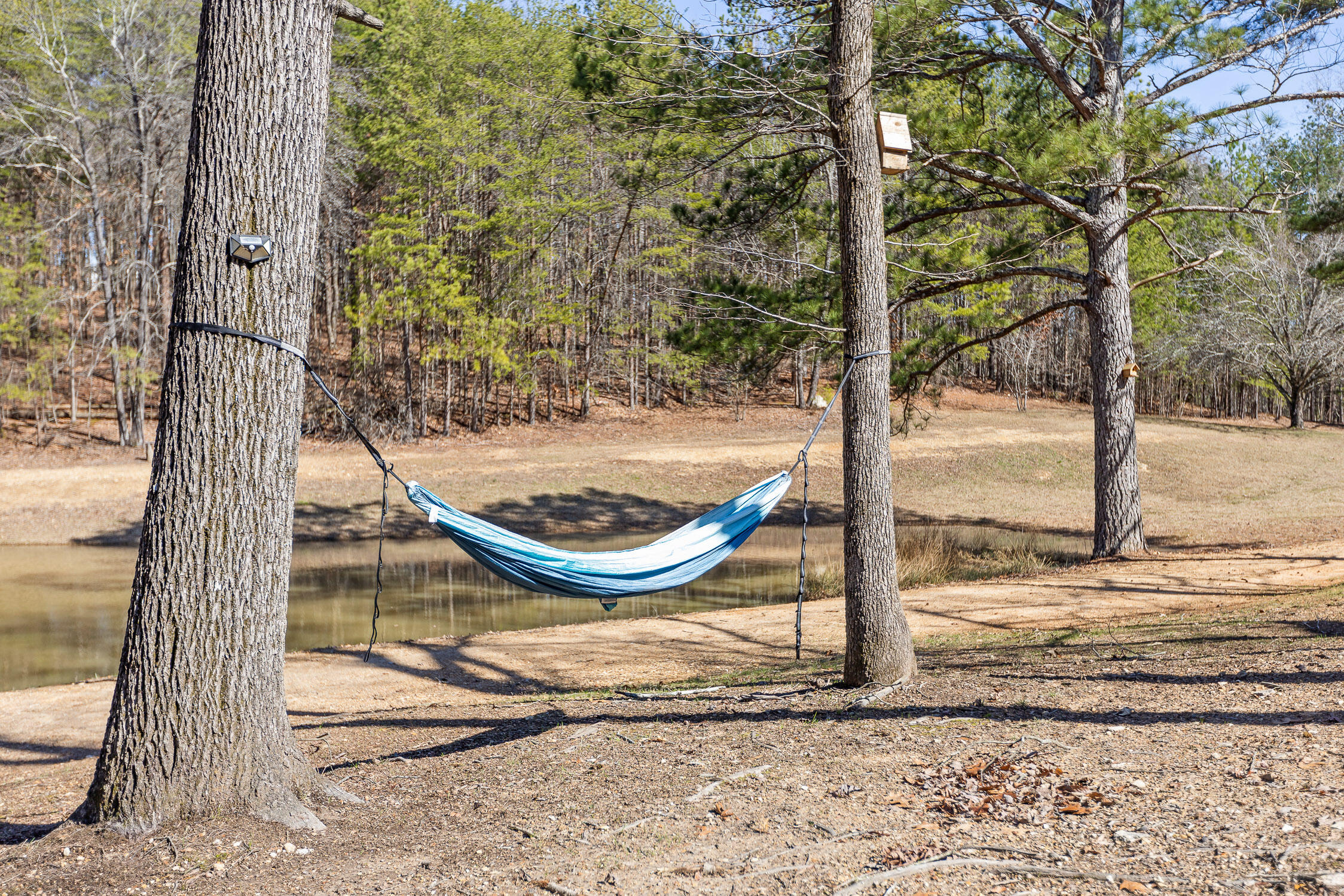 Chickamauga, Georgia 30707, United States, 1 Bedroom Bedrooms, ,1 BathroomBathrooms,Residential,Active,220828