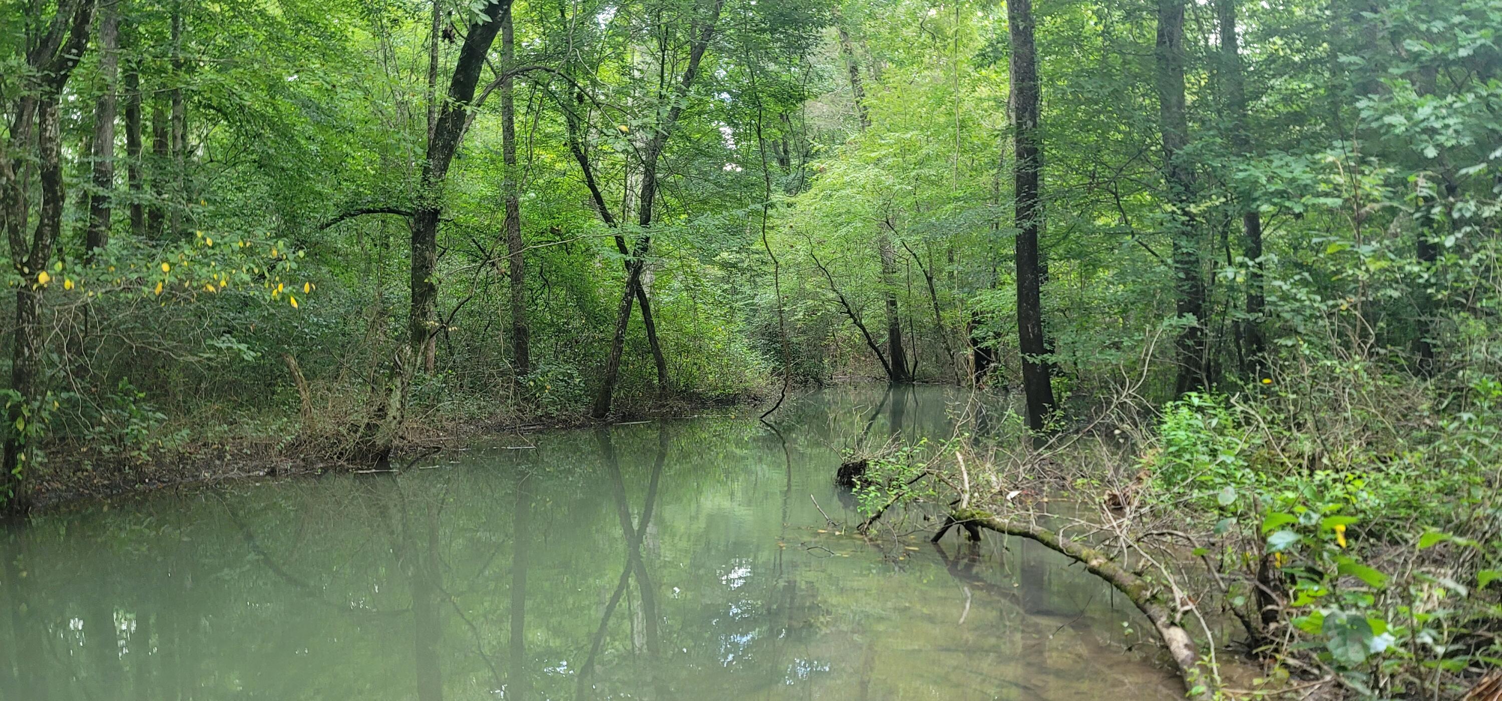 43 Stone Cave Lp, Dunlap, Tennessee image 42